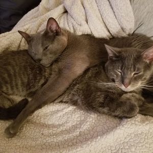 Meet your Posher, Tom